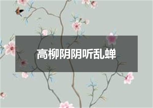 高柳阴阴听乱蝉
