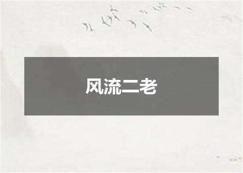 风流二老