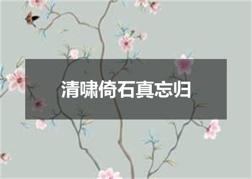 清啸倚石真忘归