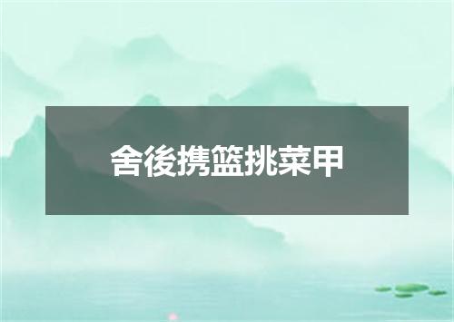 舍後携篮挑菜甲