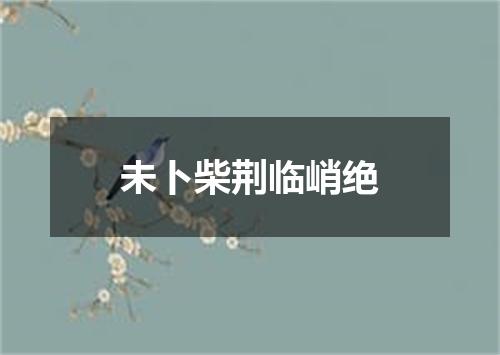 未卜柴荆临峭绝