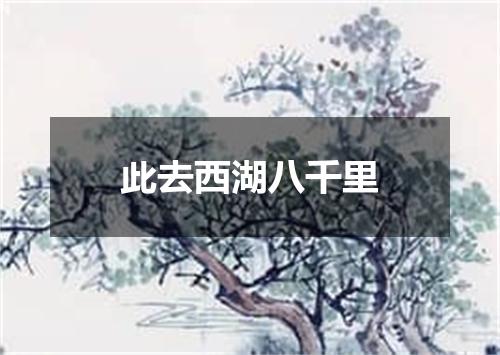 此去西湖八千里