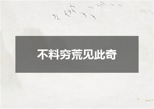 不料穷荒见此奇