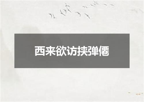 西来欲访挟弹僊