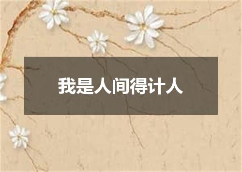 我是人间得计人