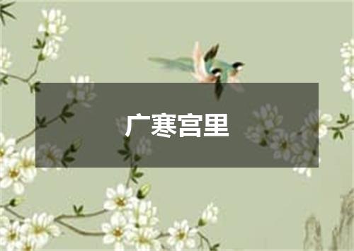广寒宫里