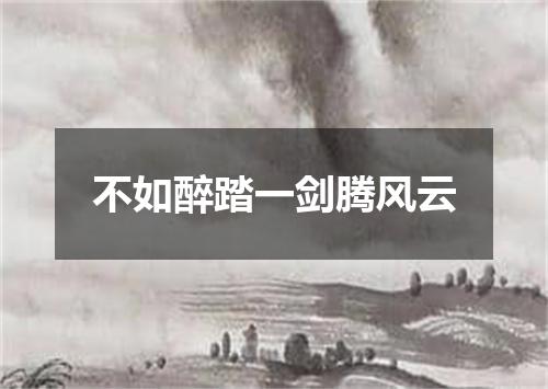 不如醉踏一剑腾风云