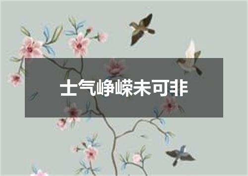 士气峥嵘未可非