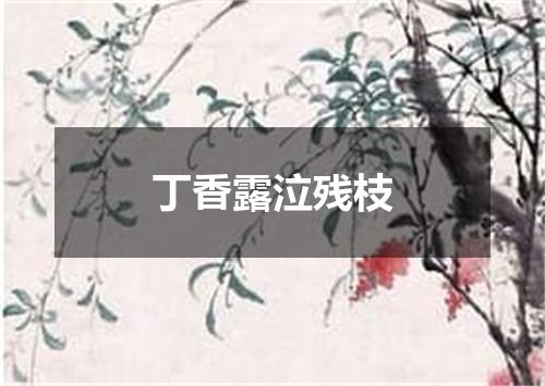 丁香露泣残枝