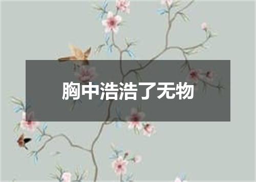 胸中浩浩了无物