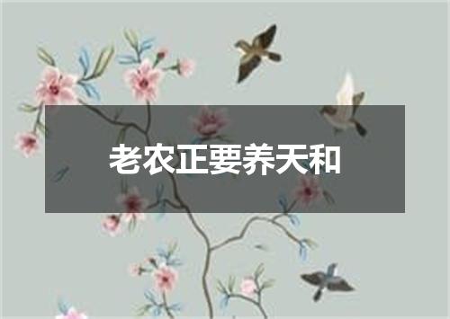 老农正要养天和