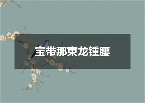 宝带那束龙锺腰