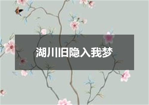 湖川旧隐入我梦