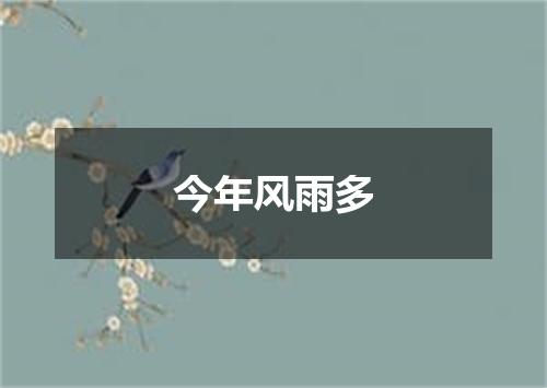 今年风雨多