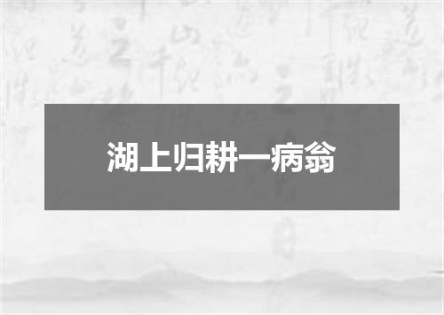 湖上归耕一病翁