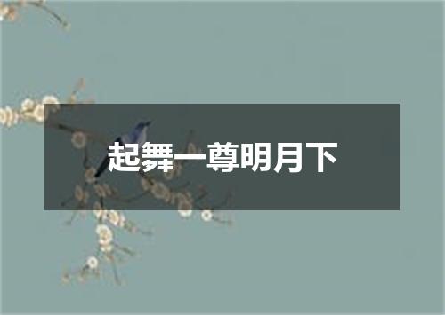 起舞一尊明月下