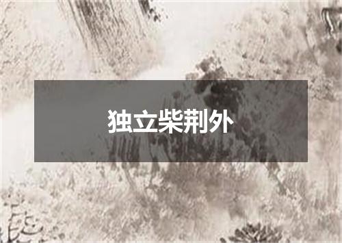 独立柴荆外