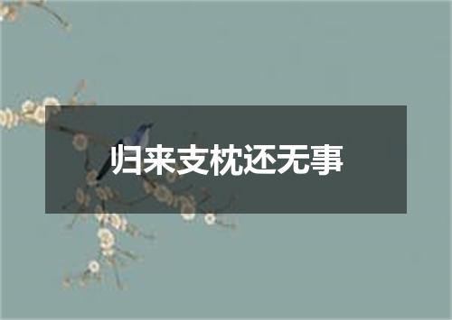 归来支枕还无事