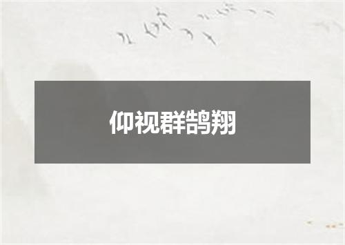 仰视群鹄翔