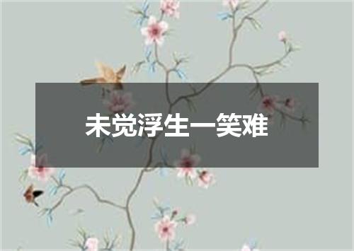 未觉浮生一笑难
