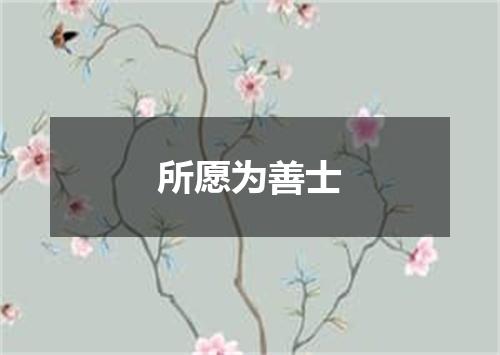 所愿为善士
