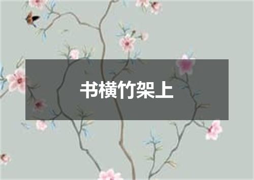 书横竹架上