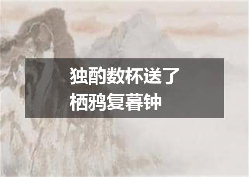 独酌数杯送了栖鸦复暮钟