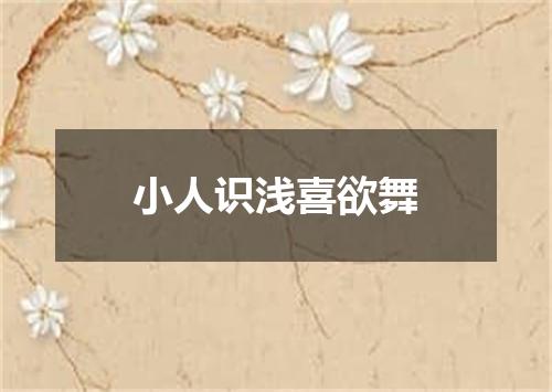小人识浅喜欲舞