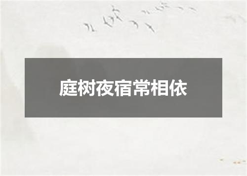 庭树夜宿常相依