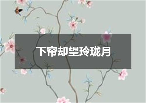 下帘却望玲珑月