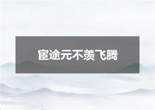 宦途元不羡飞腾