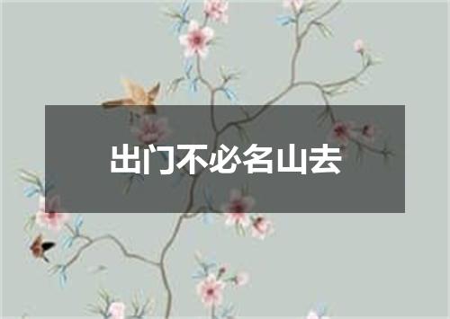 出门不必名山去
