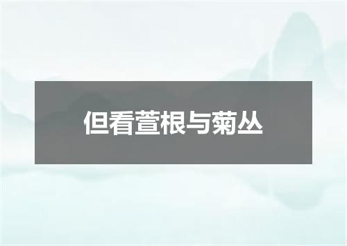 但看萱根与菊丛