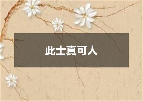此士真可人