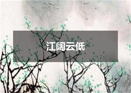 江阔云低