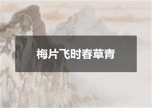 梅片飞时春草青