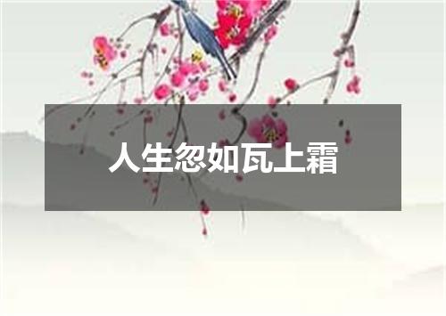 人生忽如瓦上霜