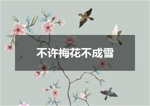 不许梅花不成雪