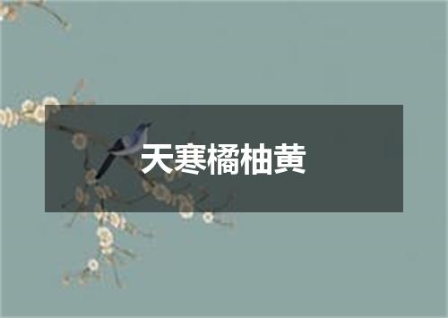 天寒橘柚黄