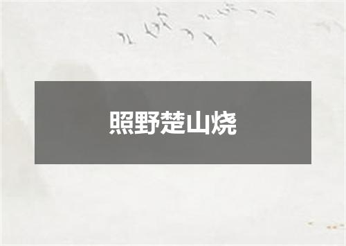照野楚山烧