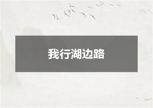 我行湖边路