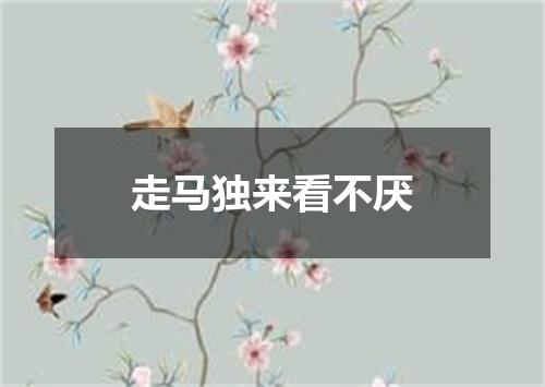 走马独来看不厌