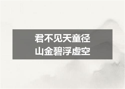 君不见天童径山金碧浮虚空
