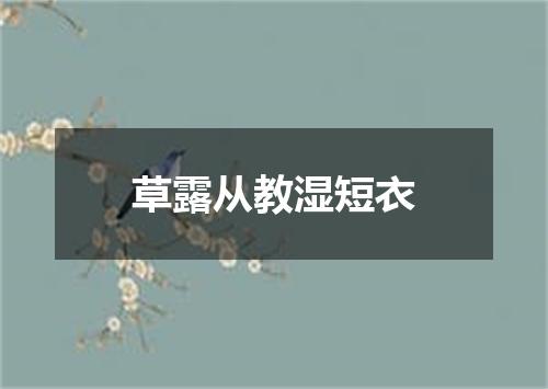草露从教湿短衣