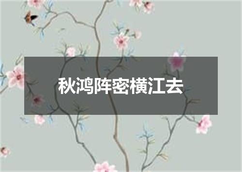 秋鸿阵密横江去
