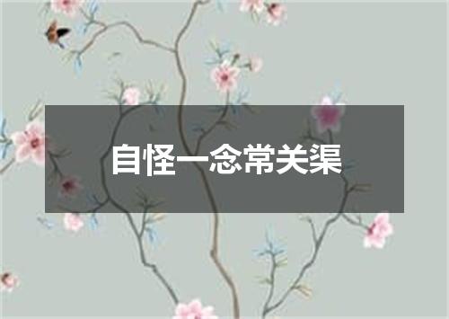 自怪一念常关渠