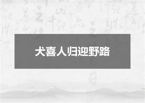 犬喜人归迎野路