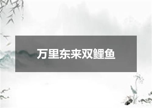 万里东来双鲤鱼