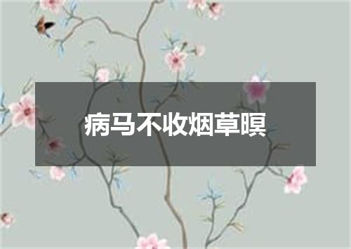 病马不收烟草暝