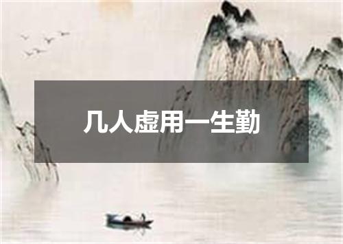 几人虚用一生勤